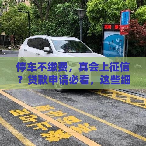 停车不缴费，真会上征信？贷款申请必看，这些细节别忽略！
