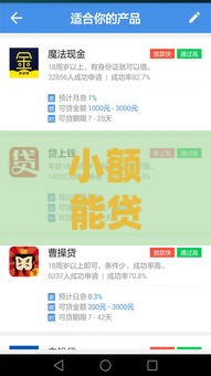 小额能贷款新口子真实测评 低门槛秒批到账