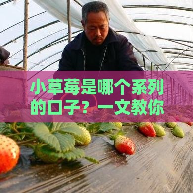 小草莓是哪个系列的口子？一文教你辨别贷款平台套路