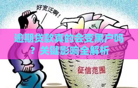 逾期贷款真的会变黑户吗？关键影响全解析