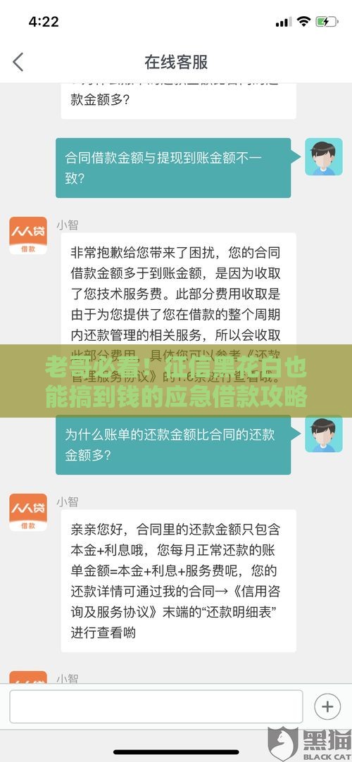 老哥必看！征信黑花白也能搞到钱的应急借款攻略