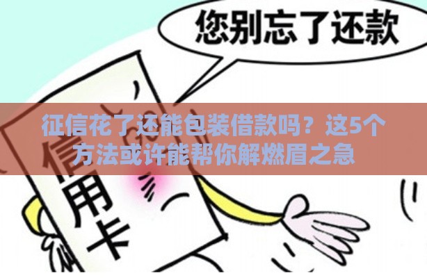 征信花了还能包装借款吗？这5个方法或许能帮你解燃眉之急