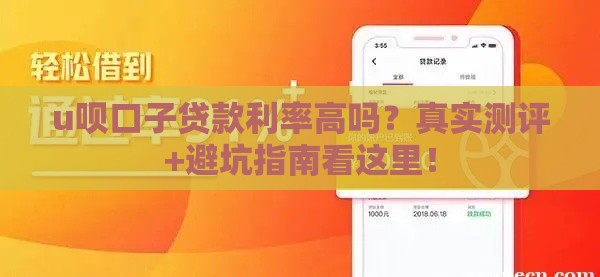 u呗口子贷款利率高吗？真实测评+避坑指南看这里！