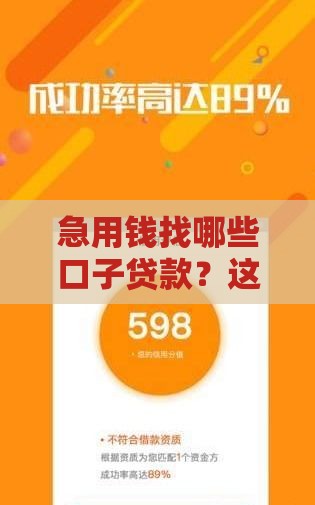 急用钱找哪些口子贷款？这5个靠谱平台让你快速到账