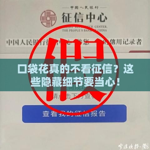 口袋花真的不看征信？这些隐藏细节要当心！