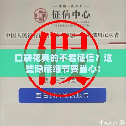 口袋花真的不看征信？这些隐藏细节要当心！