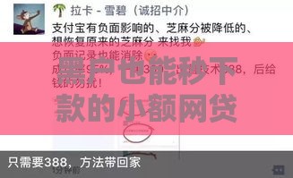 黑户也能秒下款的小额网贷有哪些？