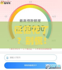 征信花了？别慌！唯品花还能下款吗？实测经验+避坑指南分享