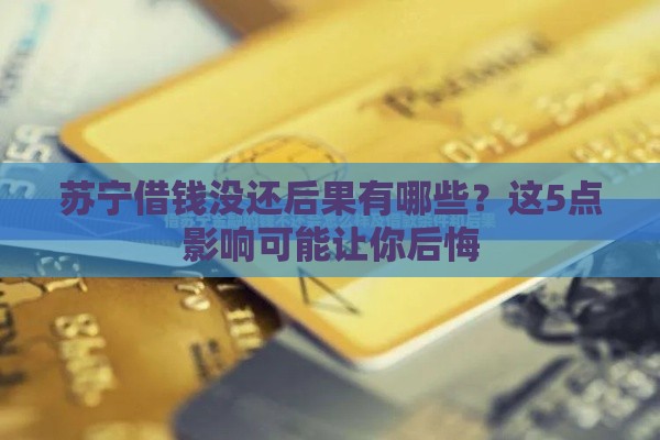 苏宁借钱没还后果有哪些？这5点影响可能让你后悔