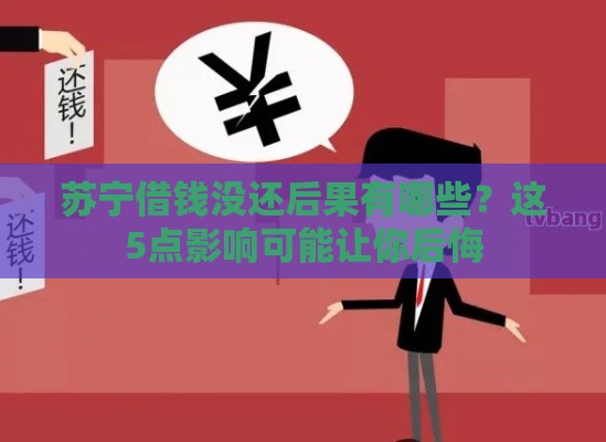 苏宁借钱没还后果有哪些？这5点影响可能让你后悔
