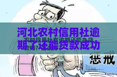 河北农村信用社逾期了还能贷款成功吗？真实情况解析