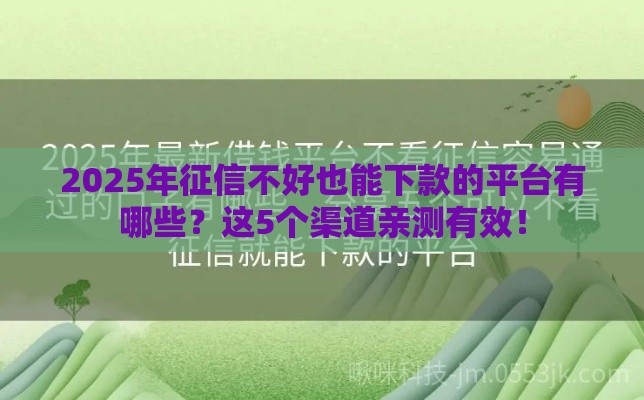 2025年征信不好也能下款的平台有哪些？这5个渠道亲测有效！