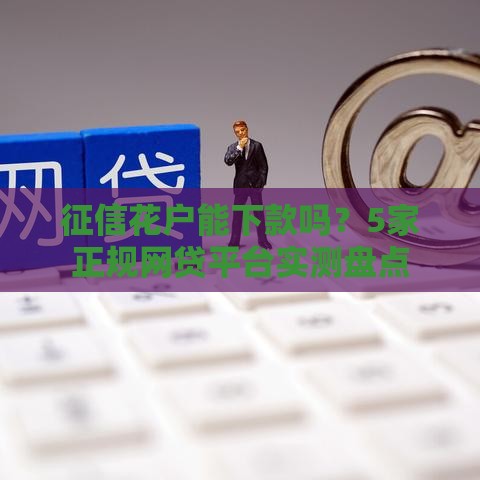 征信花户能下款吗？5家正规网贷平台实测盘点