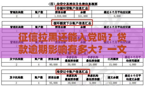 征信拉黑还能入党吗？贷款逾期影响有多大？一文读懂！