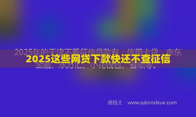2025这些网贷下款快还不查征信