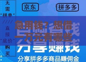 急用钱？想借一万元有哪些靠谱平台？这5个渠道超实用！