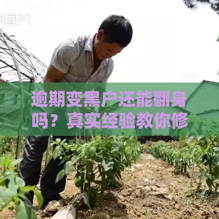 逾期变黑户还能翻身吗？真实经验教你修复信用重获贷款资格！