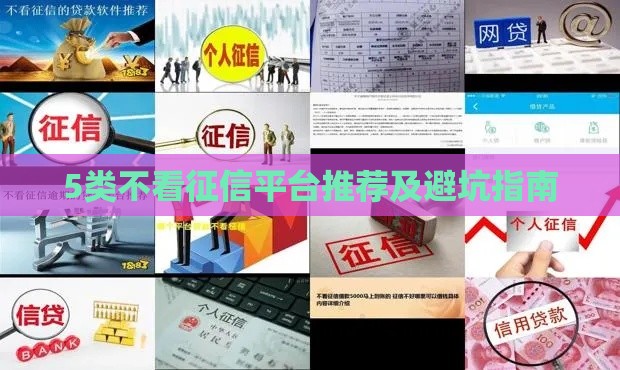 5类不看征信平台推荐及避坑指南