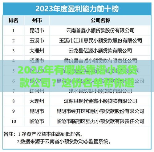 2025年有哪些靠谱小额贷款公司？这份名单帮你避坑！