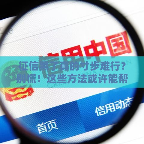 征信黑了真的寸步难行？别慌！这些方法或许能帮你解决贷款难题