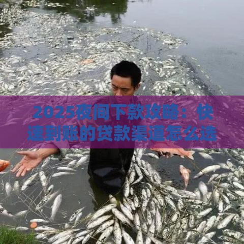 2025夜间下款攻略：快速到账的贷款渠道怎么选？