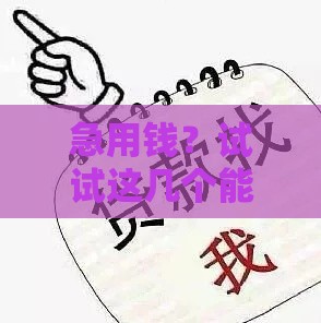 急用钱？试试这几个能下两万的贷款口子，真实靠谱推荐！