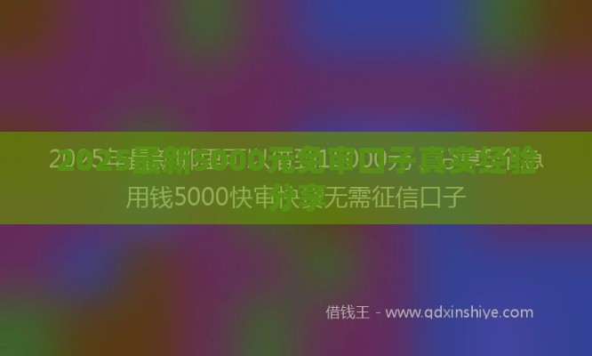 2025最新5000元免审口子真实经验分享