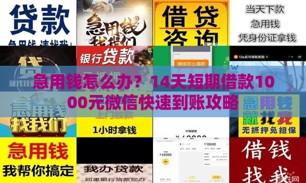 急用钱怎么办？14天短期借款1000元微信快速到账攻略