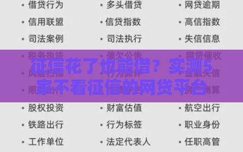 征信花了也能借？实测5家不看征信的网贷平台