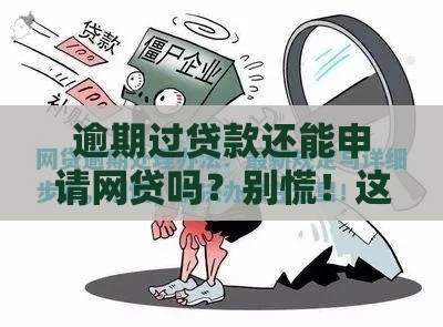 逾期过贷款还能申请网贷吗？别慌！这些补救方法要记牢