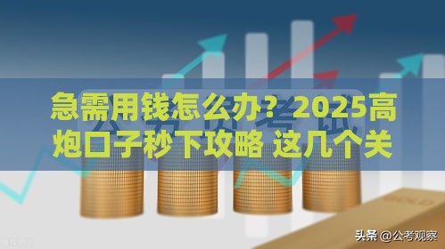急需用钱怎么办？2025高炮口子秒下攻略 这几个关键点必须掌握