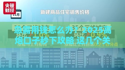 急需用钱怎么办？2025高炮口子秒下攻略 这几个关键点必须掌握