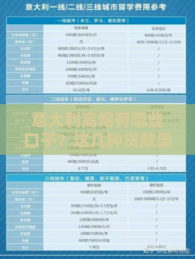 意大利高炮有哪些口子？这几种贷款渠道你知道吗