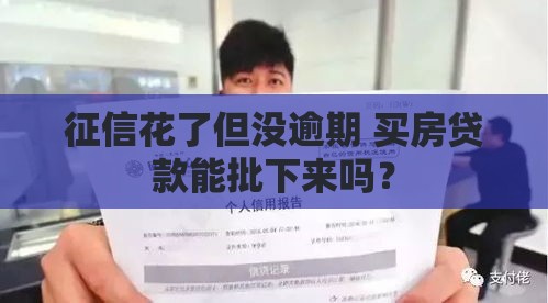 征信花了但没逾期 买房贷款能批下来吗？