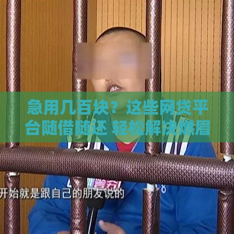 急用几百块？这些网贷平台随借随还 轻松解决燃眉之急！