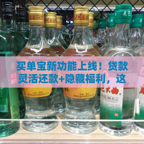 买单宝新功能上线！贷款灵活还款+隐藏福利，这些技巧别错过