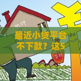 最近小贷平台不下款？这5个原因终于找到了