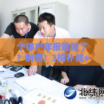 个体户年报逾期了？别慌！3招补救+贷款影响全解析