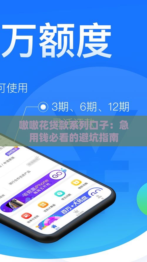 嗷嗷花贷款系列口子：急用钱必看的避坑指南