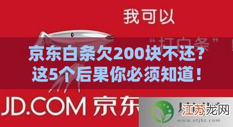 京东白条欠200块不还？这5个后果你必须知道！