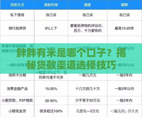 胖胖有米是哪个口子？揭秘贷款渠道选择技巧
