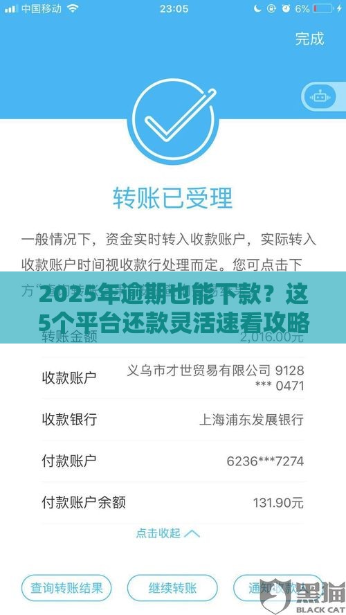 2025年逾期也能下款？这5个平台还款灵活速看攻略