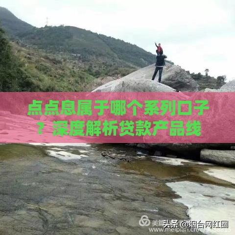 点点息属于哪个系列口子？深度解析贷款产品线