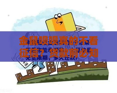 金鼠呗呗真的不看征信？贷款前必知的5个避坑指南