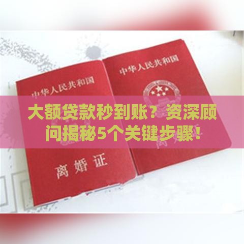 大额贷款秒到账？资深顾问揭秘5个关键步骤！