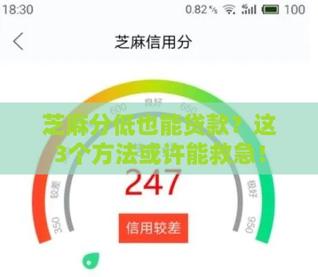 芝麻分低也能贷款？这3个方法或许能救急！