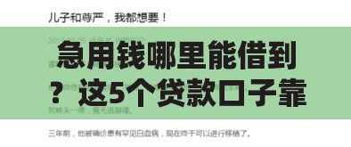 急用钱哪里能借到？这5个贷款口子靠谱又省心！