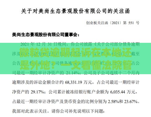微粒贷逾期起诉在本地还是外地？一文看懂法院管辖规则