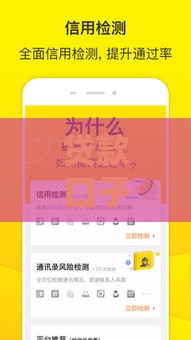 贷款口子论坛深度解析：老哥必看的避坑指南与实战攻略