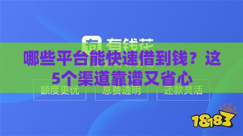 哪些平台能快速借到钱？这5个渠道靠谱又省心